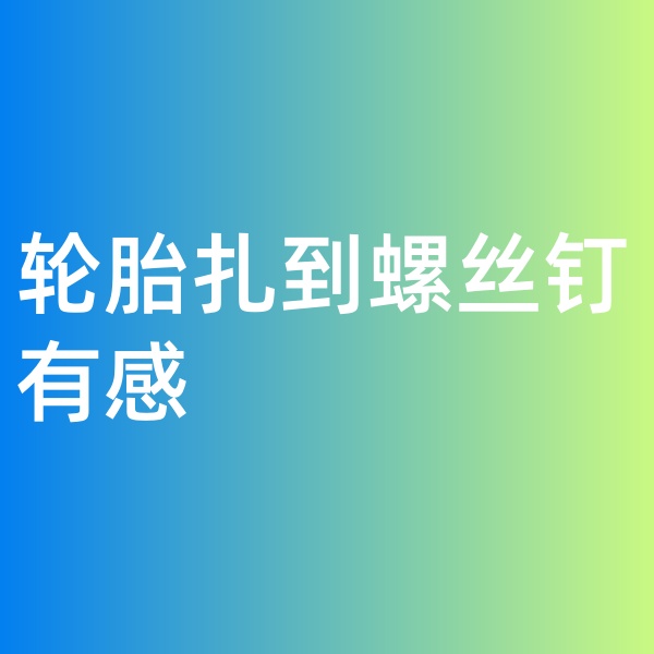 鈀碳回收，輪胎扎到螺絲釘有感