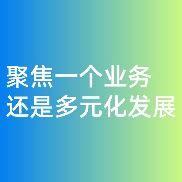 鈀碳回收, 聚焦一個(gè)業(yè)務(wù)，還是多元化發(fā)展